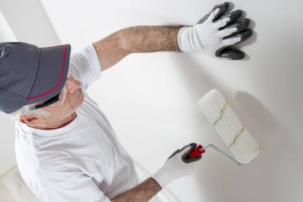 Best Mold Removal for HVAC Installations  in Valdez, AK