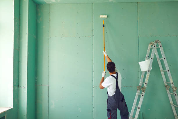 Best Basement Mold Removal  in Valdez, AK