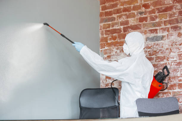 Best Comprehensive Air Testing for Mold Contaminants  in Valdez, AK