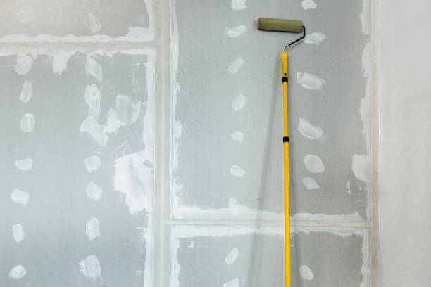 Best Mold Documentation for Insurance Claims  in Valdez, AK