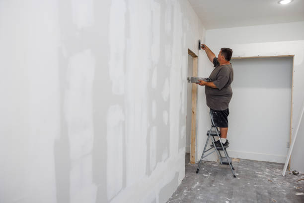 Best Black Mold Removal  in Valdez, AK