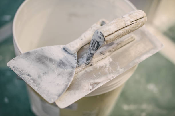 Best Emergency Mold Remediation  in Valdez, AK